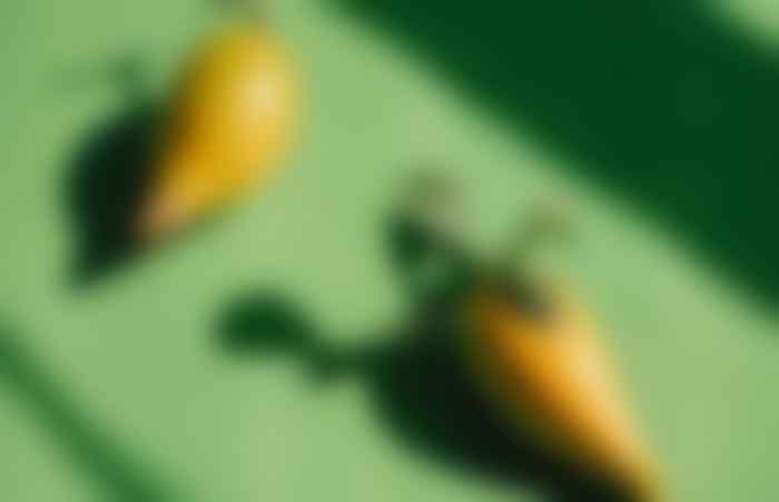 Bootstrap Gallery